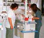 En el 2004 el servicio neonatológico del Hospital de Caleta atendió a 127 pacientes, mientras que en 2007 el número aumentó hasta los 244.