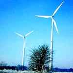 Turbinas eólicas capaces de generar 600 Mw de potencia.