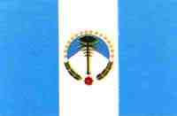 Bandera de la Provincia de Neuquén.