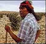 Las Profecías Hopi son las mas ampliamente conocidas y están escritas en dos antiguas tablas de piedra.
