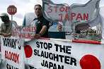 Un grupo de conservacionistas le pide a Japón que detenga con su cacería de ballenas.